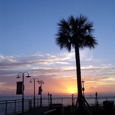 CDWpicnov06081
