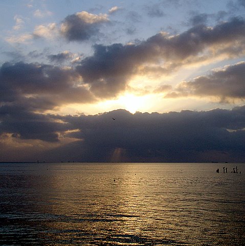CDWpicnov06081