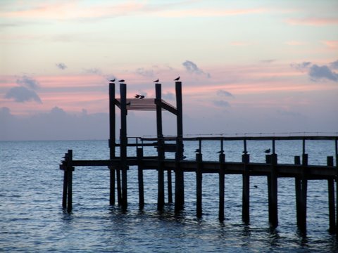CDWpicnov06081