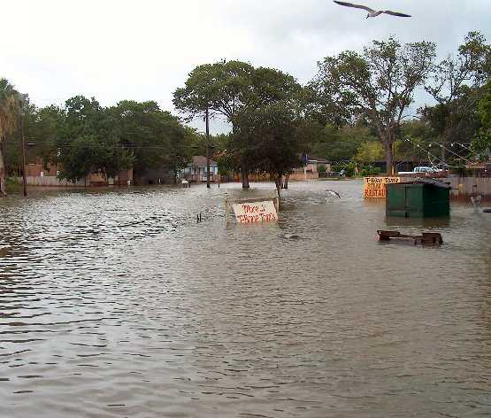 marina flooding
