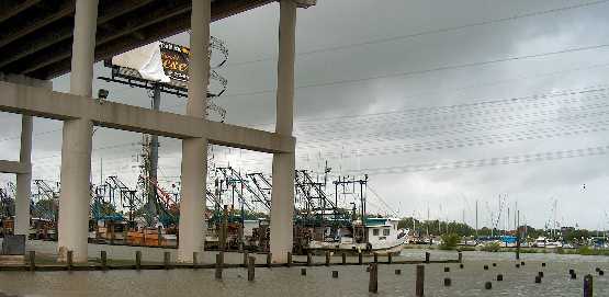 marina flooding