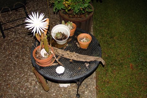 DSC00357.JPG DSC00357.JPG