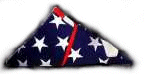 Dad's Flag