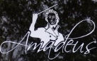 amadoues.jpg amadoues.jpg