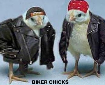 biker chicks