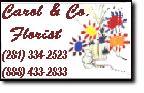 CAROL & COMPANY FLORIST KEMAH TX