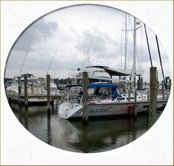 http://www.kemah.net/celebrationansm.jpg http://www.kemah.net/celebrationansm.jpg