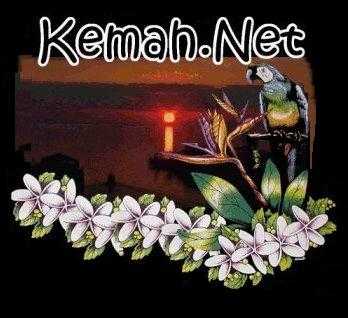 KEMAH
                        RUMTINI (a.k.a., kemah.net Rumtini)