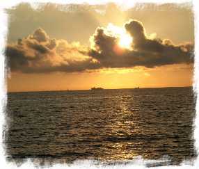 The Bay