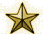 gold star