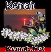 Can you please pay a
                                            visit to my web home and see
                                            if everything is working.
                                            Got a lot more to do.
                                            http://kemah.net/