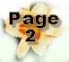 Page2