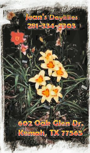 Jean Durkee and Daylillies