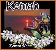 http://www.kemah.net/knet13.jpg