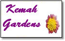 Kemahgardenshadowbox.jpg