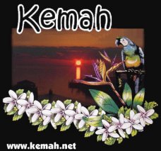 kemalogob
