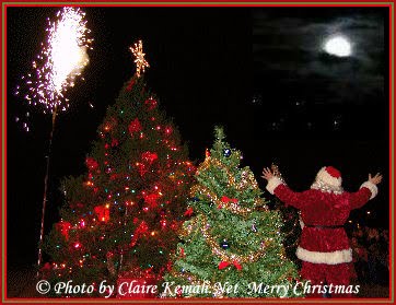 merrychristmas2011.jpg