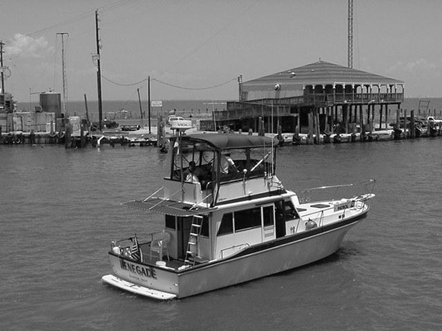 Useful pleasure craft licence form touching words Quite good pleasure craft licence form share