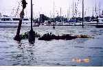 West side of Kemah Boardwalk Marina (Click to Enlarge)