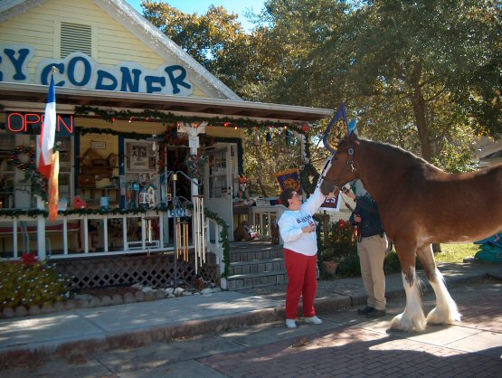 Ms. Sylvia at SYLVIAS COZY CORNER WITH A CLYDSDALE