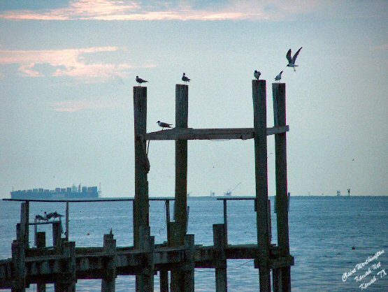 Kemah Blue Victory images/PIER003.jpg