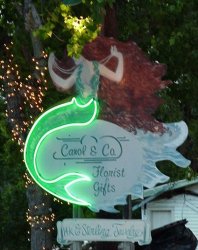 Carol & Company