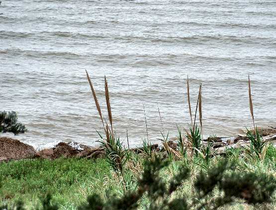 Private Beach Kemah