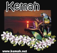 Kemah Sunrise Over Clear Creek & Galveston Bay with Parrot & Kemah.Net Logo