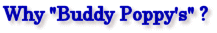 why "Buddy Poppy's" ?